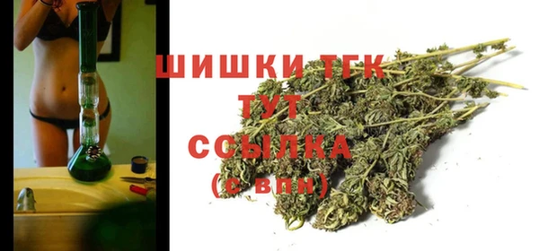 молекула духа Гусев