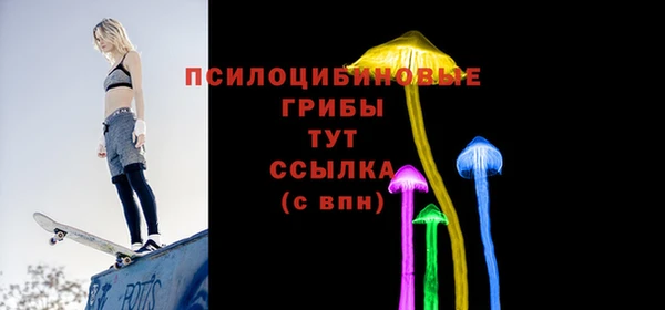 молекула духа Гусев
