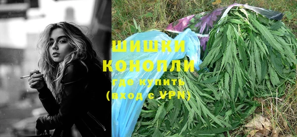 молекула духа Гусев