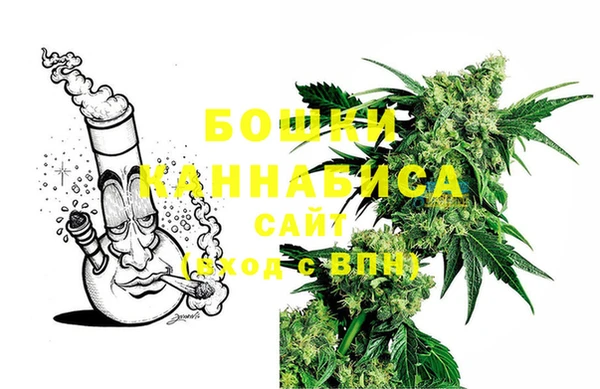 молекула духа Гусев