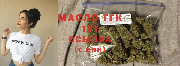молекула духа Гусев