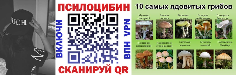 Псилоцибиновые грибы Psilocybine cubensis  Чернушка 